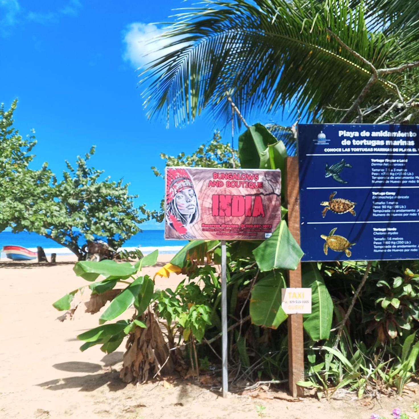 Bungalows India, El Valle, Samana المظهر الخارجي الصورة