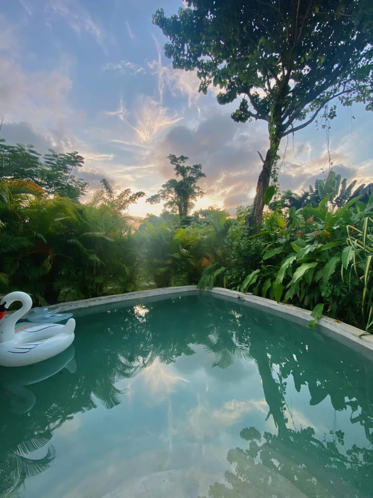 Bungalows India, El Valle, Samana المظهر الخارجي الصورة