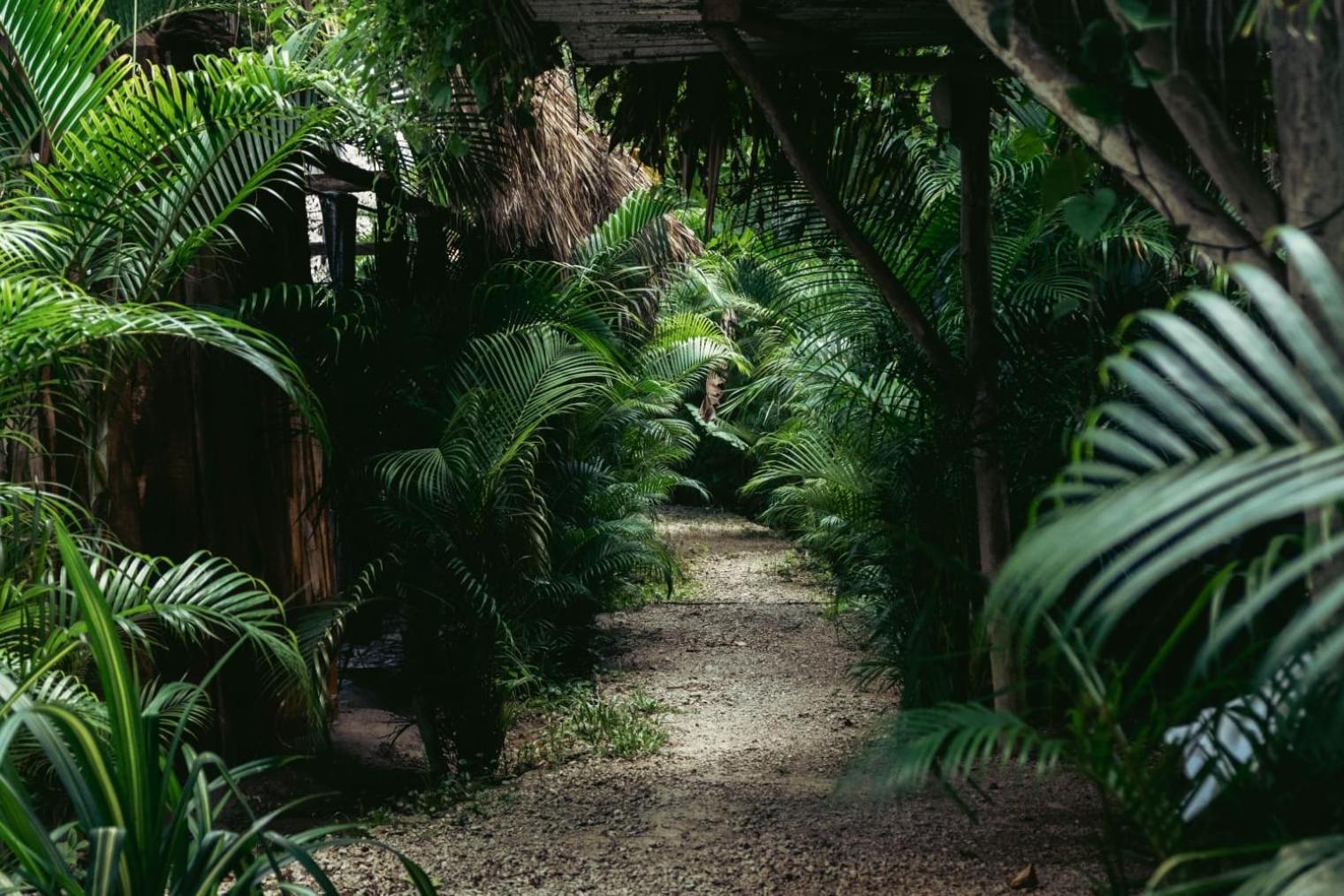 Bungalows India, El Valle, Samana المظهر الخارجي الصورة